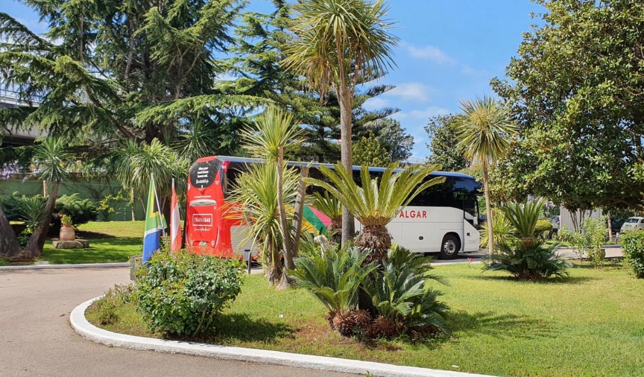 קואליאנו Hotel Mediterraneo מראה חיצוני תמונה