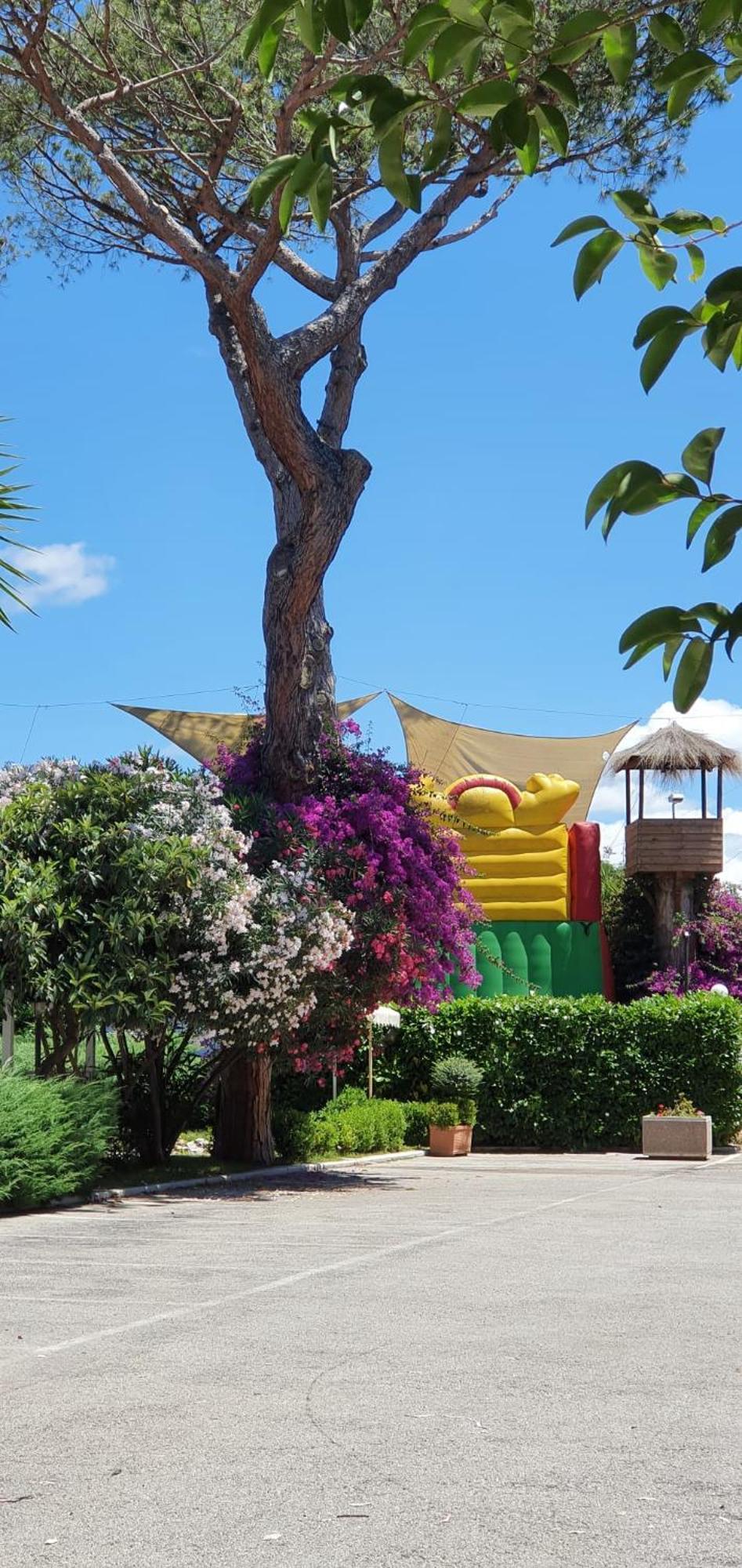 קואליאנו Hotel Mediterraneo מראה חיצוני תמונה