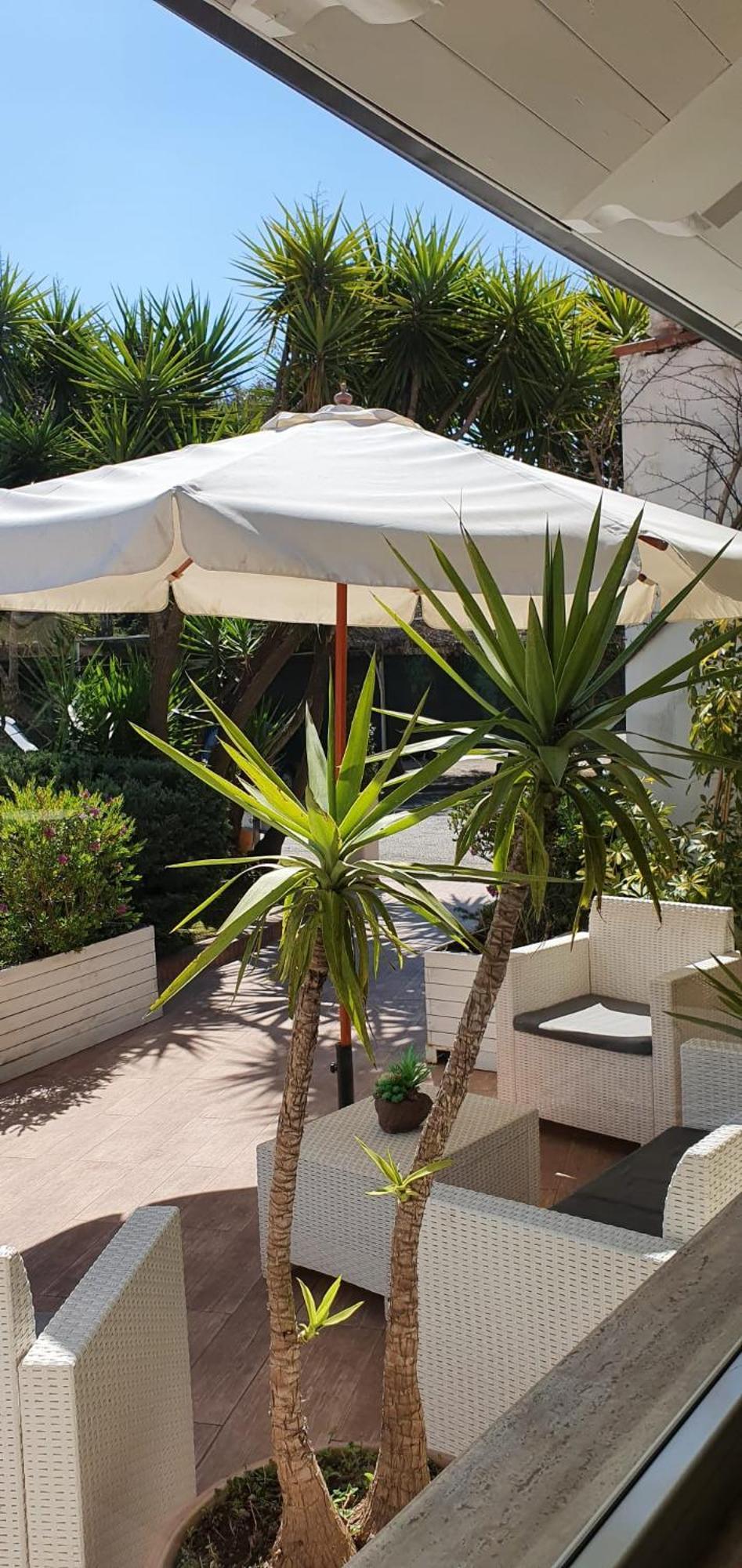 קואליאנו Hotel Mediterraneo מראה חיצוני תמונה