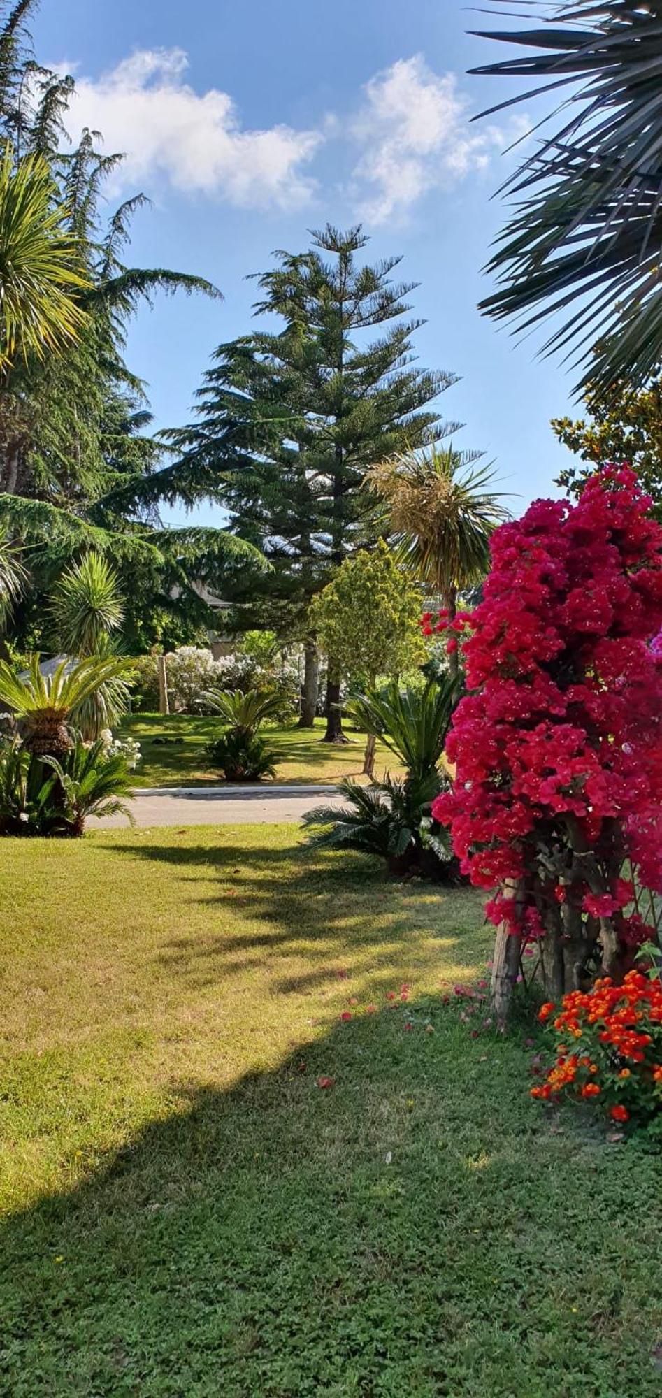 קואליאנו Hotel Mediterraneo מראה חיצוני תמונה