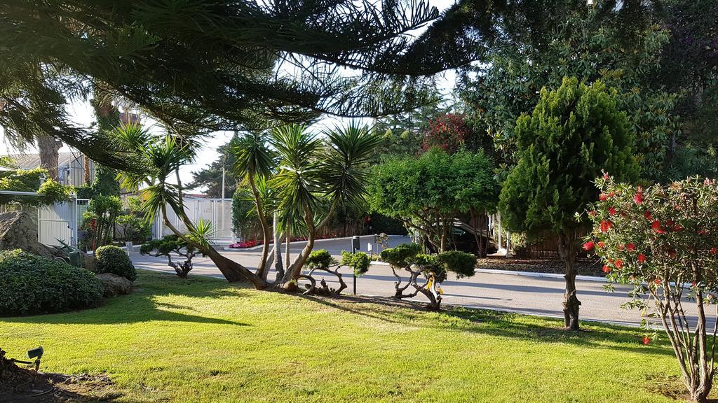 קואליאנו Hotel Mediterraneo מראה חיצוני תמונה