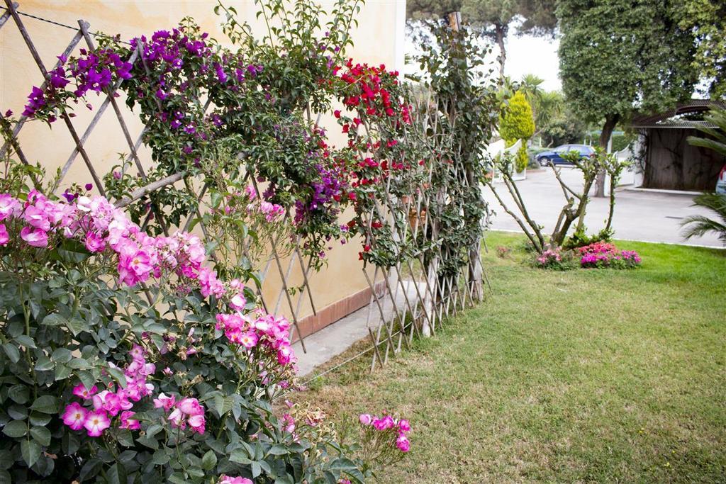 קואליאנו Hotel Mediterraneo מראה חיצוני תמונה