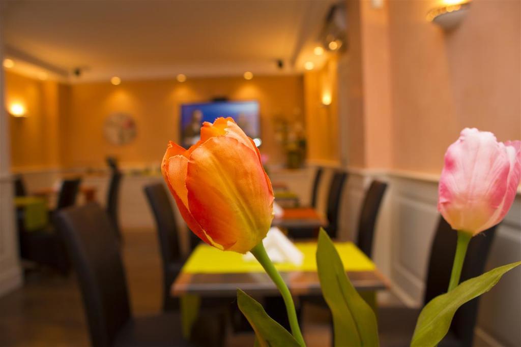 קואליאנו Hotel Mediterraneo מראה חיצוני תמונה